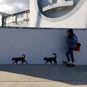 Meet your Posher, Xiaoling